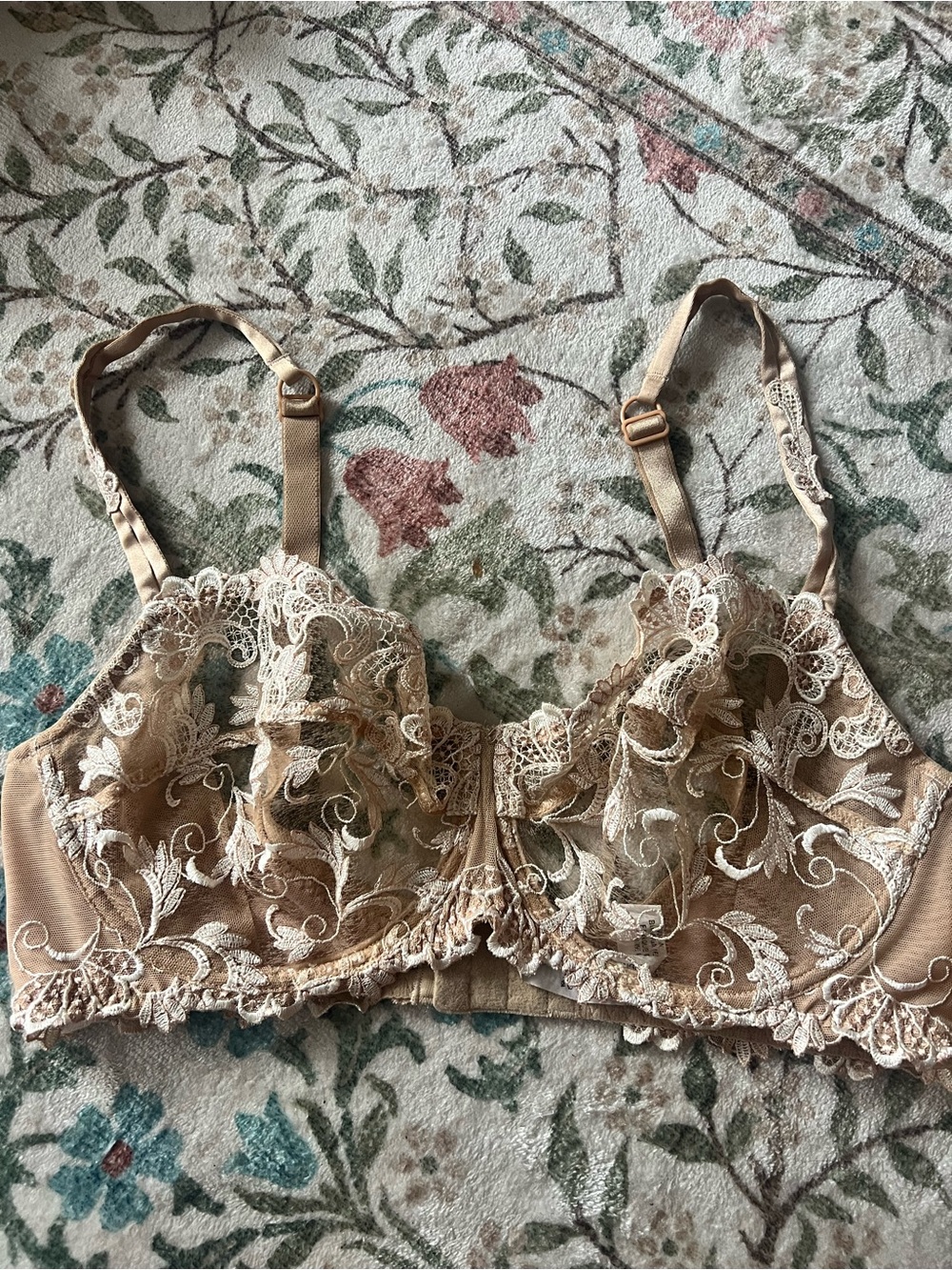 Lise Charmel Nude Lace Bra Sheer Embroidered 34F
